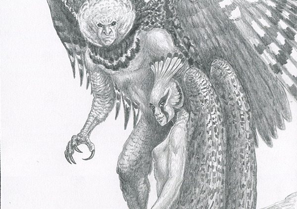 Drawings by Brad Tabar