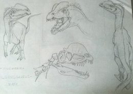 Pencil Artist Michele Parisi