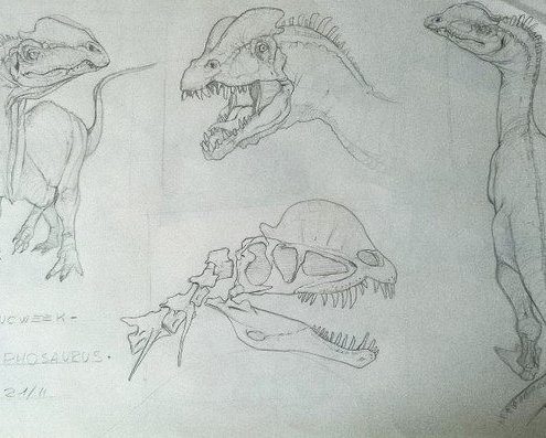 Pencil Artist Michele Parisi