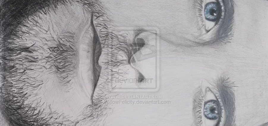 Pencil Artist WillowFelicity