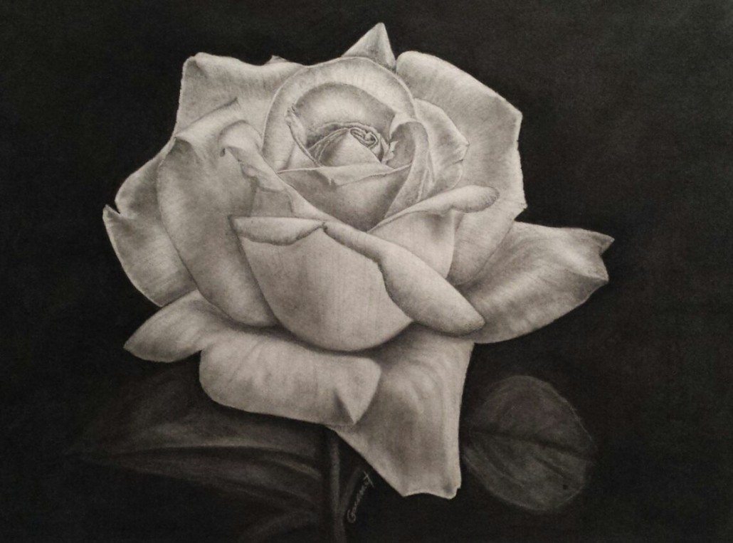 Pencil Artist Don Gaconnet