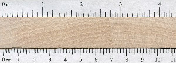 basswood-endgrain