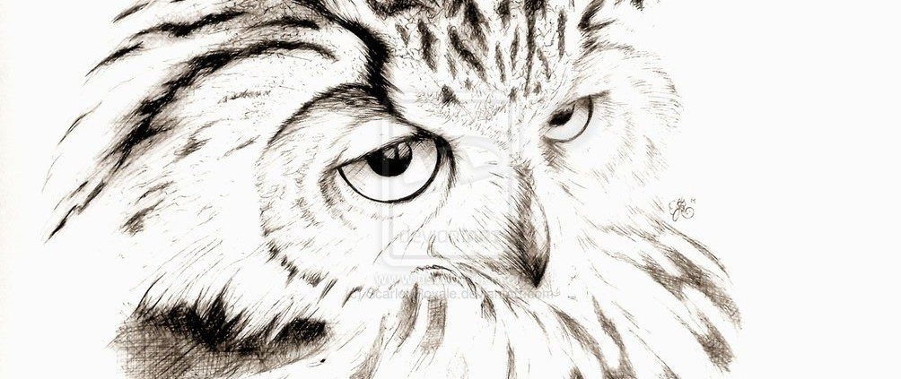 Drawings by Scarlett Royale