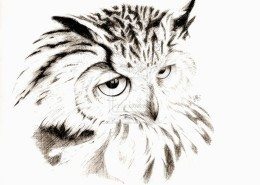 Drawings by Scarlett Royale