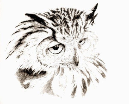 Drawings by Scarlett Royale
