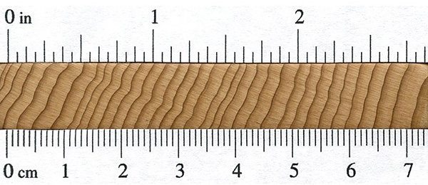 Incense-cedar endgrain from the Wood Database.