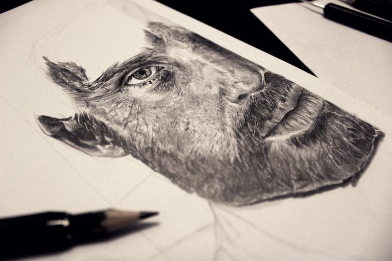 Drawings by Rieven