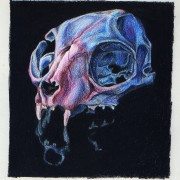 Pencil Artist Anna Eglantine