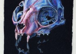 Pencil Artist Anna Eglantine