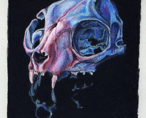 Pencil Artist Anna Eglantine