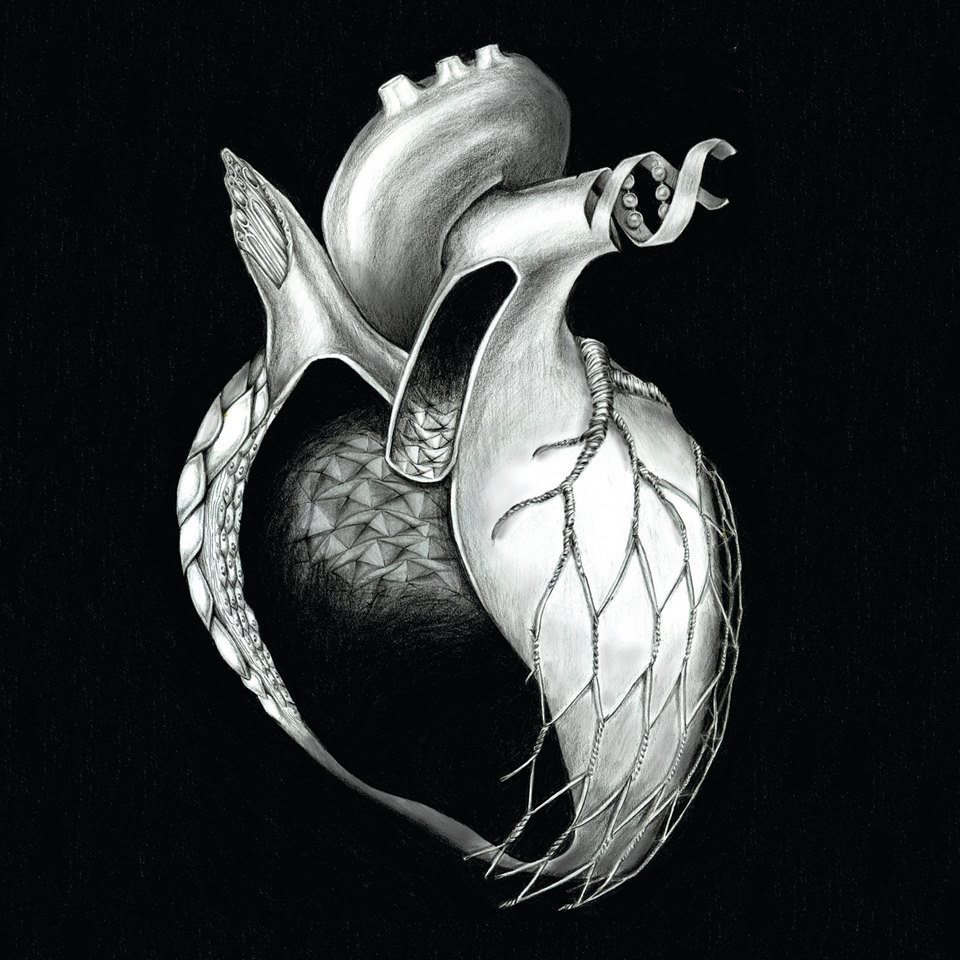 Pencil Artist Anna Eglantine