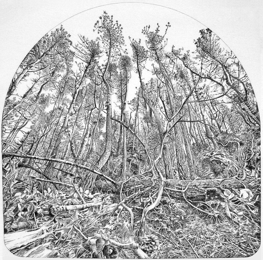 Drawings by Andrew Joseph