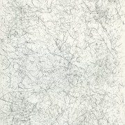 Pencil Artist Stephen van den Burg