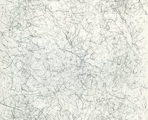 Pencil Artist Stephen van den Burg