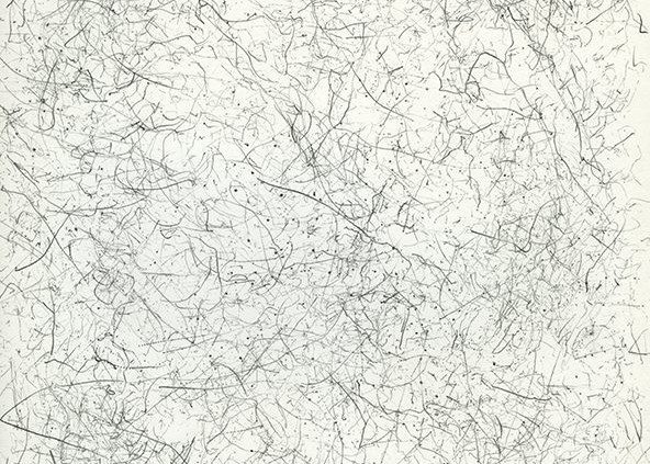 Pencil Artist Stephen van den Burg