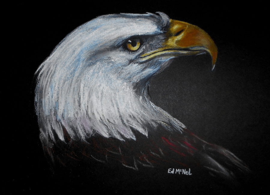Pencil Artist Ed McNeil