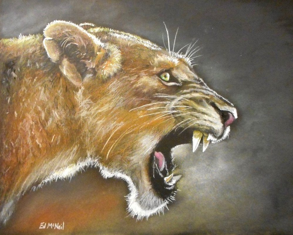 Pencil Artist Ed McNeil