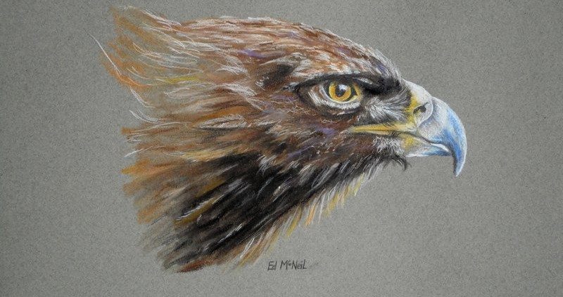 Pencil Artist Ed McNeil