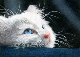 Pencil Artist Corrina Thurston