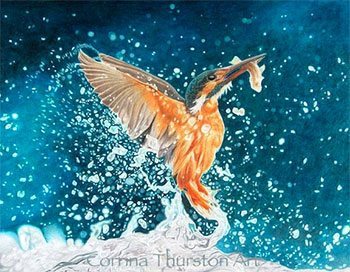 Pencil Artist Corrina Thurston
