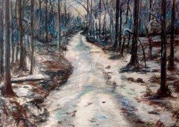 Pencil Artist Victoria General