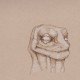 Pencil Artist Jackosaurus Rex