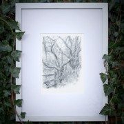 Pencil Artist Sam Brett-Atkins