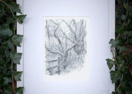 Pencil Artist Sam Brett-Atkins
