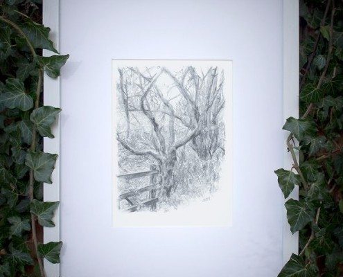 Pencil Artist Sam Brett-Atkins