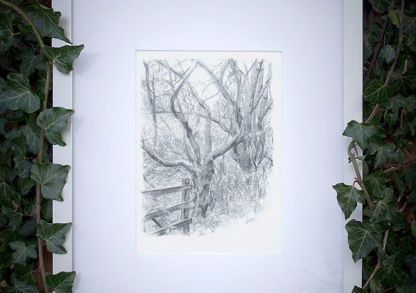 Pencil Artist Sam Brett-Atkins