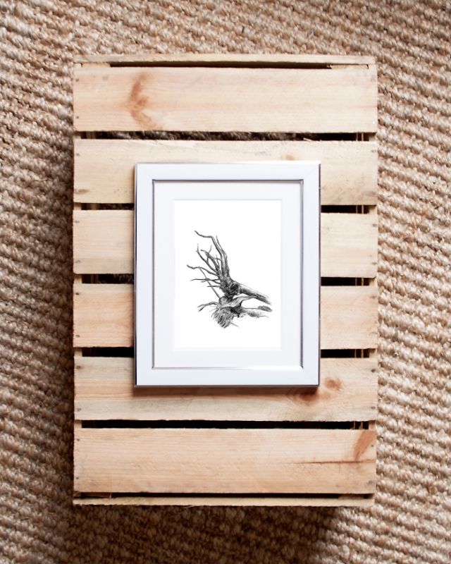 Pencil Artist Sam Brett-Atkins