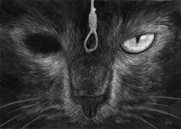Pencil Artist Darío Mekler