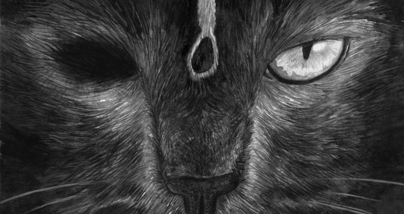 Pencil Artist Darío Mekler