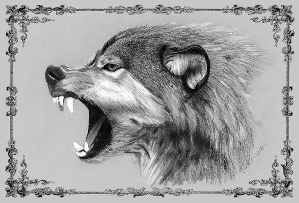 Pencil Artist Jasmina Susak