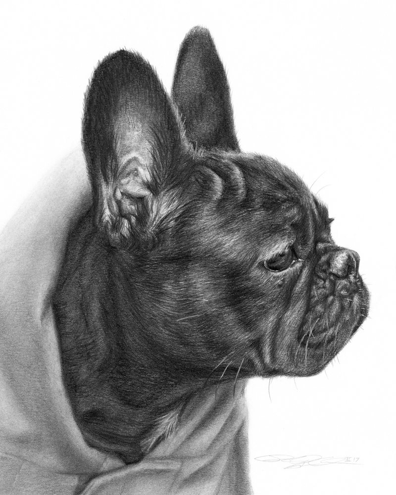 Pug Life